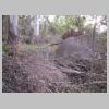 DSCN7738.JPG