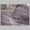 DSCN7739.JPG