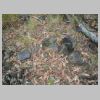 DSCN7630.JPG