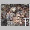 DSCN7785.JPG