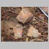 DSCN7806.JPG