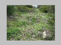 IMG_0498.JPG