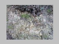 IMG_0681.JPG