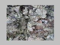 IMG_0682.JPG