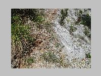 IMG_0699.JPG