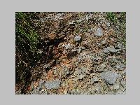 IMG_0700.JPG