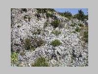 IMG_0708.JPG