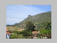 IMG_0733.JPG