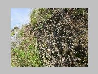 IMG_0725.JPG