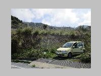 IMG_0728.JPG