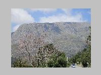 IMG_0763.JPG