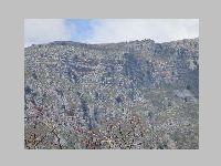 IMG_0765.JPG