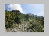 IMG_0739.JPG
