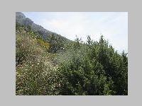 IMG_0741.JPG