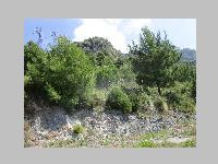 IMG_0745.JPG