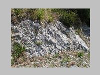 IMG_0747.JPG
