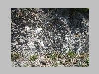 IMG_0748.JPG