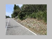 IMG_0769.JPG