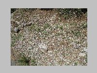 IMG_0771.JPG