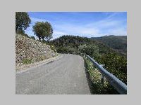 IMG_0825.JPG