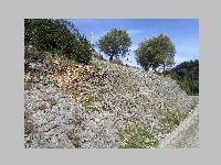 IMG_0827.JPG