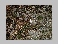 IMG_0829.JPG