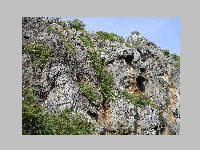 IMG_0835.JPG