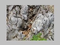 IMG_0836.JPG