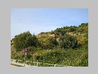 IMG_0846.JPG