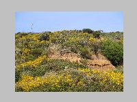 IMG_0847.JPG