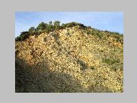IMG_0860.JPG
