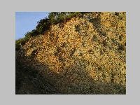 IMG_0861.JPG
