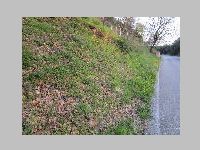 IMG_0870.JPG
