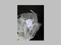 IMG_0894.JPG