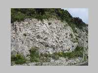 IMG_0897.JPG