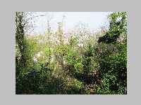 IMG_0912.JPG