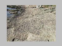 IMG_0590.JPG