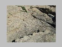 IMG_0591.JPG