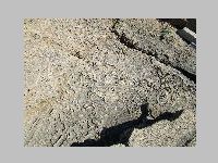 IMG_0592.JPG