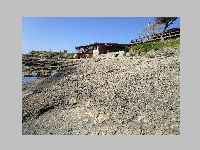 IMG_0593.JPG