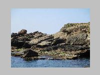 IMG_0597.JPG