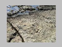 IMG_0598.JPG