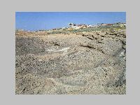 IMG_0612.JPG