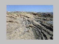 IMG_0613.JPG