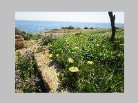 IMG_0616.JPG
