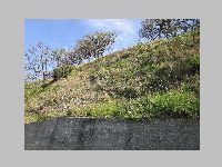 IMG_0672.JPG