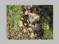IMG_0674.JPG