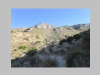 IMG_7014.JPG