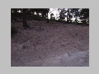 IMG_5243.JPG