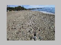 IMG_5268.JPG